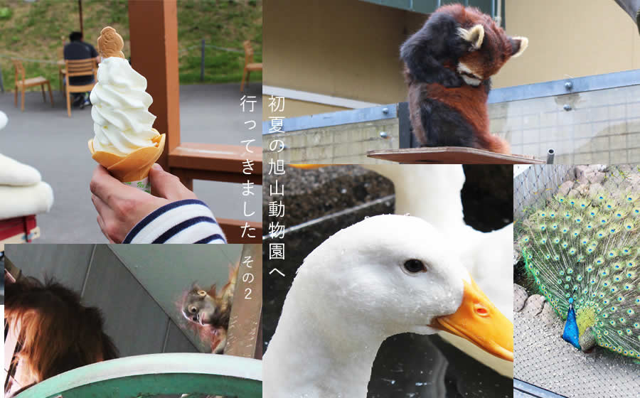 初夏の旭山動物園へ行ってきました。その2